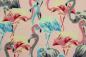 Preview: Modal - Flamingo - weiß
